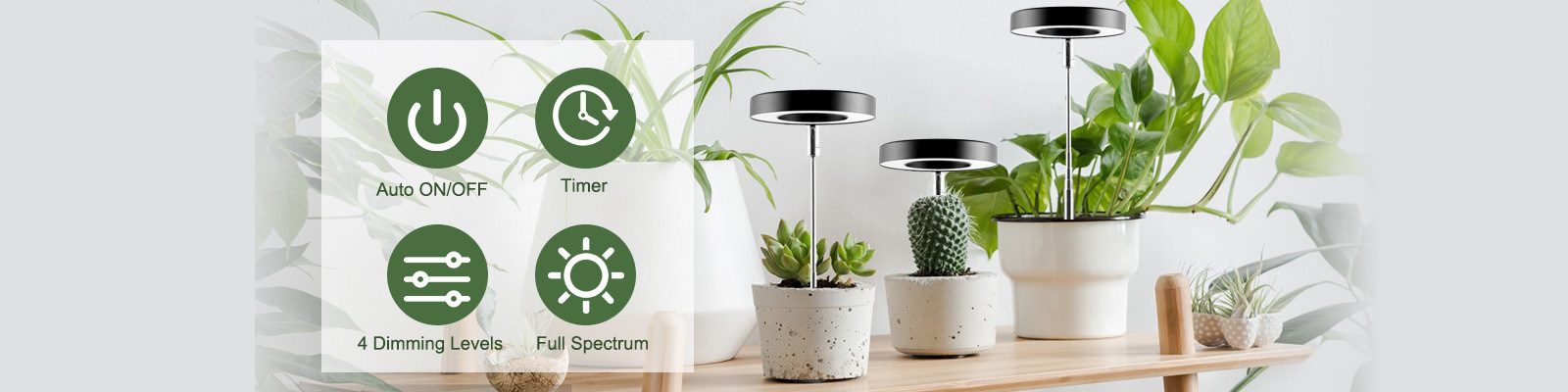 Dimmbare LED-Glühlampen