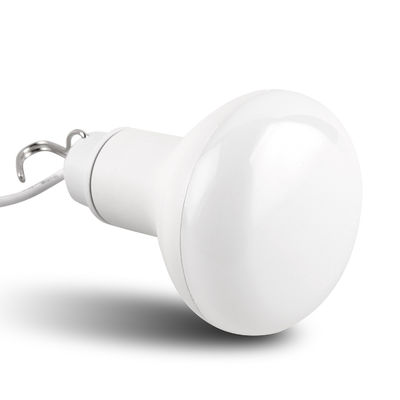 Home/Outdoor USB LED Lamp illumination 10W LED Warm White Light Bulbs